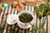 Three-Plum-Flower Competetion Alishan Jinxuan High-mountain Taiwan Oolong 100g Sample