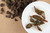 Organic Rolled Bai Hao Oolong Oriental Beauty Medium Oxidized High Mountain Tea