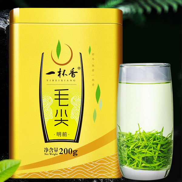 YIBEIXIANG TEA Brand Ming Qian First Plucked Xin Yang Mao Jian Xinyang Downy Tip Chinese Green Tea 200g