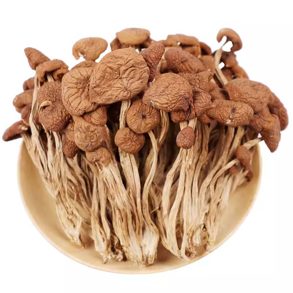 Premium Organic Dried Cyclocybe Aegerita Agrocybe Cylindracea Mushrooms