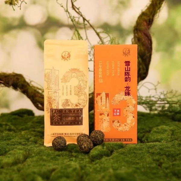 XIAGUAN Brand Xue Shan Chen Yun Long Zhu Pu-erh Tea Tuo 2025 160g Raw