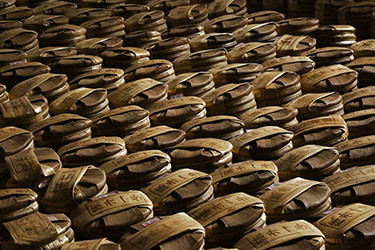Guangdong Storage vs Kunming Storage in Puerh Tea - A Practical Perspective from a Chinese Tea Vendor