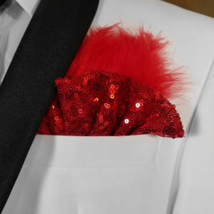 Red Sequin Ruffle & Feather Pocket Square Insert Red Sequin Ruffle & Feather Pocket Square Insert