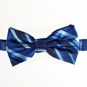 Antonio Ricci Blue Stripe Jacquard Adjustable Pre-Tied Bow Tie Antonio Ricci Blue Stripe Jacquard Adjustable Pre-Tied Bow Tie