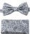 Grey Paisleys Pre-Tied Silk Bow Tie Set