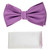 Lavender Purple Diagonal Weave Pre-Tied Silk Bow Tie Set
