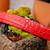 Marco di Milano Genuine Caiman Fuscus-Belly Crocodile Dress Belt - Red