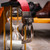 Marco di Milano Genuine Caiman Crocodile & Lizard Belt - Red Marco di Milano Genuine Caiman Crocodile & Lizard Belt - Red