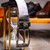 Marco di Milano Genuine Stingray & Ostrich Quill Belt - Newspaper & Black Marco di Milano Genuine Stingray & Ostrich Quill Belt - Newspaper & Black