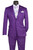 Vinci 2 Piece Floral Pattern Fancy Suit - Purple