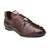 Belvedere Genuine Hornback Crocodile and Calf Leather Sneaker - Brown
