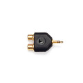 Daddario PW-P047C 1/8 Inch Male Stereo to Dual RCA Female Adaptor