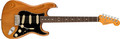 Fender American Professional II Stratocaster, Rosewood - Roasted Pine