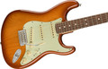 Fender American Performer Stratocaster - Honey Burst