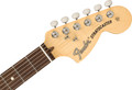 Fender American Performer Stratocaster - Honey Burst