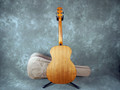 Taylor 114E Electro-Acoustic - Natural w/Gig Bag - 2nd Hand