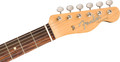 Fender Jimmy Page Telecaster - Natural