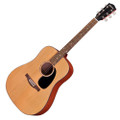 Eastman PCH1-D Dreadnought - Natural