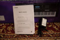 Yamaha PSR-E473 Portable Keyboard - Box & PSU - 2nd Hand