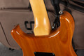 PRS SE Custom 24 Floyd Limited Exotic Ebony - Gig Bag - 2nd Hand