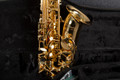 Trevor J James Co Classic Alto Saxophone - Case - 2nd Hand