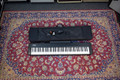 Technics SX P30 Digital Piano - PSU - Gig Bag - 2nd Hand