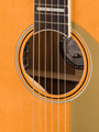 Fender Palomino Vintage - Aged Natural