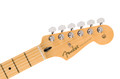 Fender Player Stratocaster, MN - Anniversary 2-Colour Sunburst