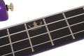 Schecter FreeZecicle-4 - Freeze Purple