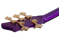 Schecter FreeZecicle-5 - Freeze Purple