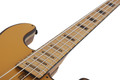 Schecter Model-T 4 Exotic Ziricote - Natural Satin