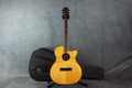 James Neligan LIS-ACFI Electro Acoustic - Soft Case - 2nd Hand