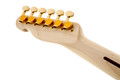 Fender Richie Kotzen Telecaster - Brown Sunburst