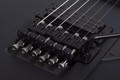 Schecter Riggs Ultra FR-S - Satin Black
