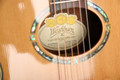 Washburn Festival EA20S Nuno Bettencourt Electro Acoustic - 2nd Hand