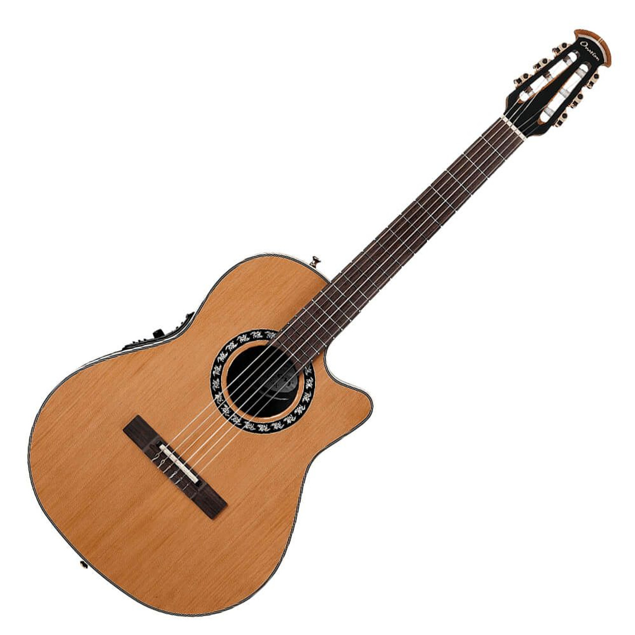 acoustic electric guitalele