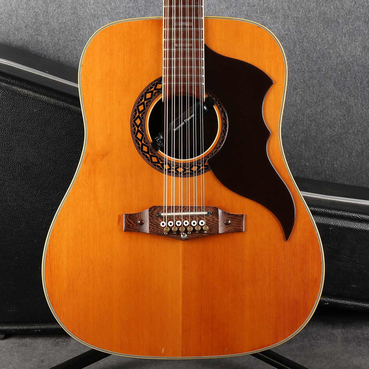 カスタマイズ アコースティックギター Eko Ranger XII Eko Ranger 12 VR EQ Honey Burst - Spruce Top — THE BOP SHOP