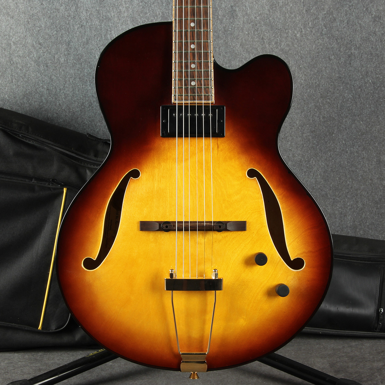 ギター FIBONACCI GUITARS ProtoModel ES-335type FIBONACCI GUITARS ProtoModel ES-335type - メルカリ