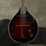 Wesley Electric Mandolin w/Gig Bag - 2nd Hand