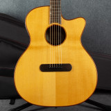 James Neligan LIS-ACFI Electro Acoustic - Soft Case - 2nd Hand