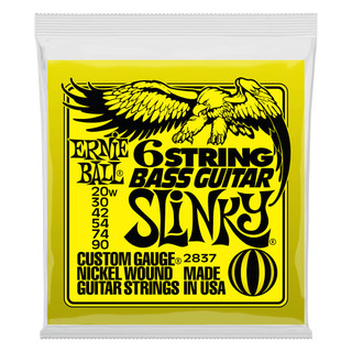 Ernie Ball Custom Slinky 6-String Nickel Wound Bass Strings - 20-90 Ernie Ball Custom Slinky 6-String Nickel Wound Bass Strings - 20-90