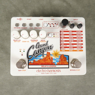 Electro Harmonix Grand Canyon Delay & Looper FX Pedal - 2nd Hand