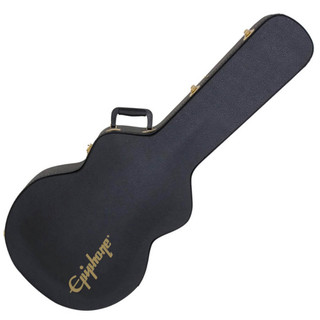 epiphone soft guitar case