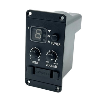 Taylor ES-B Acoustic Electronics (Pre-2022) Taylor ES-B Acoustic Electronics (Pre-2022)