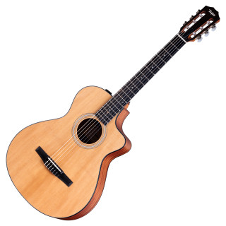 Taylor 112ce-N