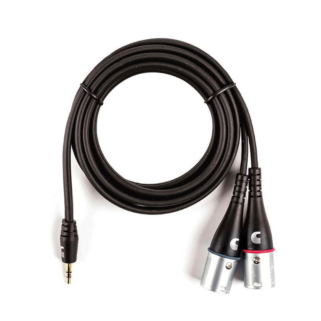 Daddario PW-MPXLR-06 1/8 Inch to Dual XLR Audio Adaptor Cable