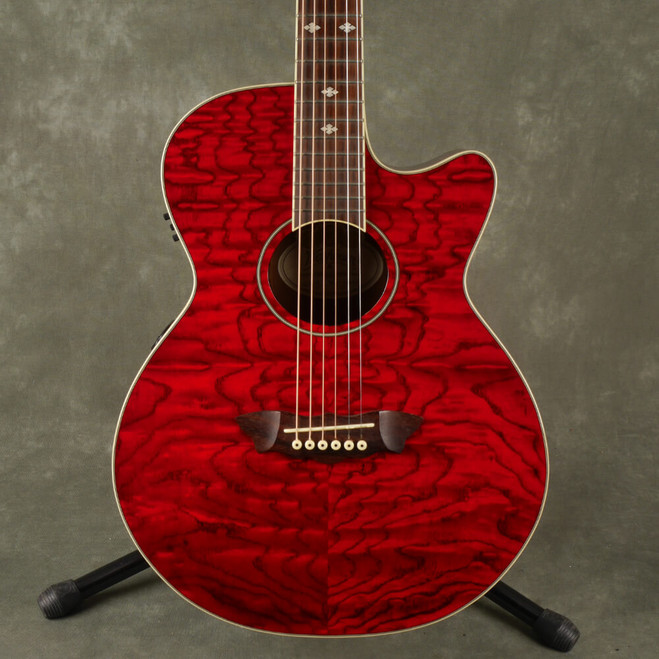 washburn ea18tr