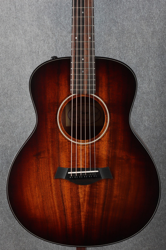 GG--TAYGSMINI-EKOAPLUS - 2208275334