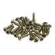 Fender Road Worn Pickguard/Control Plate Screws, Pack of 24