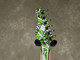 Washburn Lion - Green Stripe - 2nd Hand Washburn Lion - Green Stripe - 2nd Hand